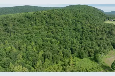 00 Birch Tree Lane #Lot 1, Cambridge, VT 05464 - Photo 5