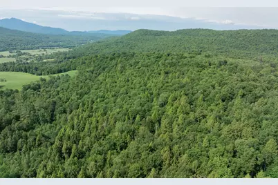 00 Birch Tree Lane #Lot 1, Cambridge, VT 05464 - Photo 7