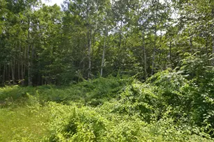 96 Lane Rd, Holderness, NH 03245 - Photo 13