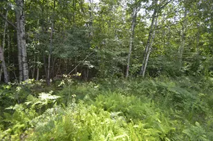 96 Lane Rd, Holderness, NH 03245 - Photo 15