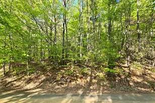00 Isaac Fox Dr, Campton, NH 03223 - Photo 1