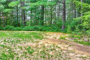86 Brookstone Ln, Madison, NH 03849 - Photo 59