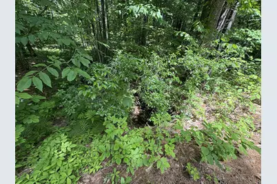 Lot S24-12C Pease Road, Meredith, NH 03253 - Photo 19