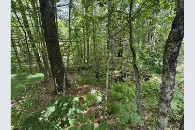 Lot S24-12C Pease Road, Meredith, NH 03253 - Photo 17