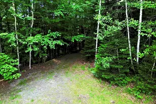 16 Griffin Rd, Stewartstown, NH 03576 - Photo 7