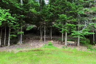 16 Griffin Rd, Stewartstown, NH 03576 - Photo 51