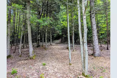 16 Griffin Road, Stewartstown, NH 03576 - Photo 13