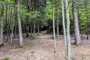 16 Griffin Rd, Stewartstown, NH 03576 - Photo 13