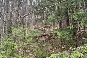 10-4-2 David Thompson Dr, Campton, NH 03223 - Photo 1