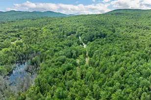 61 MacDonald Ln, Groton, NH 03266 - Photo 17