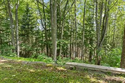 61 Macdonald Lane, Groton, NH 03266 - Photo 11