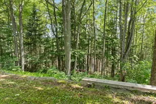 61 MacDonald Ln, Groton, NH 03266 - Photo 11