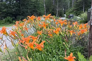 96 Mountainside Dr, Antrim, NH 03440 - Photo 27