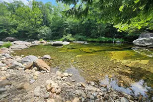 47 Dana Place Rd, Jackson, NH 03846 - Photo 51