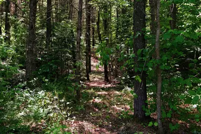 00 Nh Route 103 #Map 16 Lot 6-4, Warner, NH 03278 - Photo 11