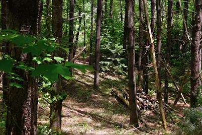 00 Nh Route 103 #Map 16 Lot 6-4, Warner, NH 03278 - Photo 9