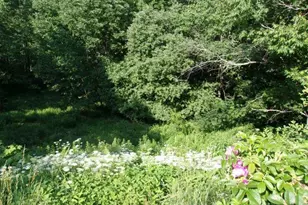 421 Bradley Hill Rd, Benton, NH 03785 - Photo 23
