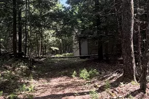 48 Whitcher Rd, Newport, NH 03773 - Photo 3