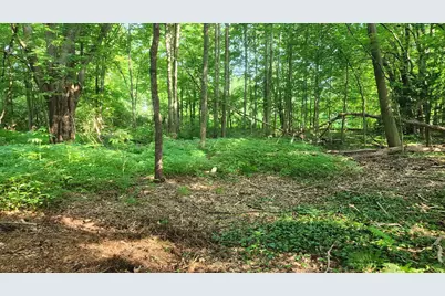 Towle Avenue #Map 161 Lot 44, Hampton, NH 03842 - Photo 7