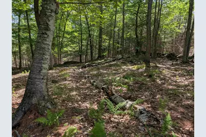 70 High Ridge Road, Moultonborough, NH 03254 - Photo 19