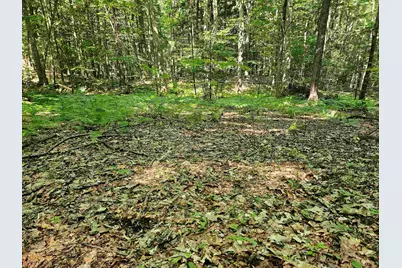234 Old Cheshire Turnpike, Walpole, NH 03608 - Photo 1