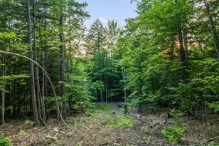 154 Rock Farm Ln, Madison, NH 03849 - Photo 53
