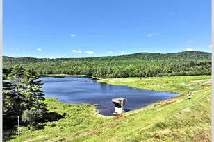 206 River Rd, Groton, NH 03266 - Photo 9