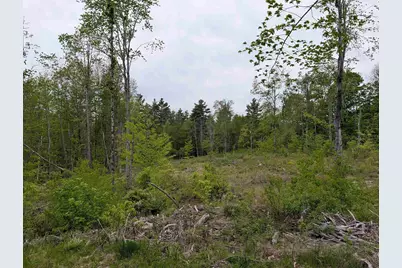 367 Height Of Land Road, Grafton, NH 03740 - Photo 3