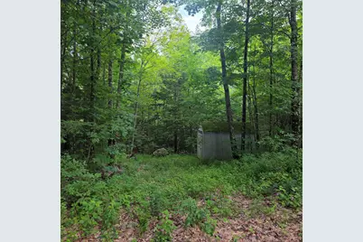 Lot 4B-29-2 Joslin Road, Surry, NH 03431 - Photo 7