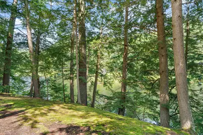 151 New Hampshire Drive, Webster, NH 03303 - Photo 3