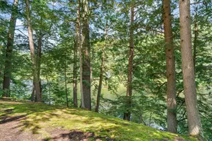 151 New Hampshire Dr, Webster, NH 03303 - Photo 3