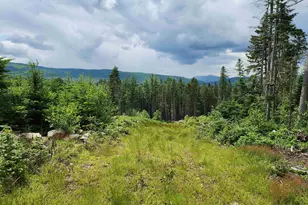 65 Hall Rd, Errol, NH 03579 - Photo 1