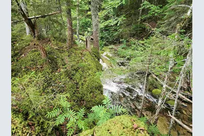 Lot 1 Ginnie Lane #R020-0010-0001, Errol, NH 03579 - Photo 17