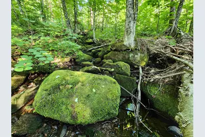 Lot 13 Ginnie Lane, Errol, NH 03579 - Photo 5
