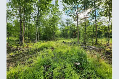 Lot 14 Ginnie Lane #R020-0010-0014, Errol, NH 03579 - Photo 5