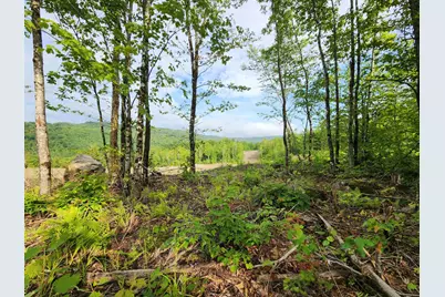 Lot 14 Ginnie Lane #R020-0010-0014, Errol, NH 03579 - Photo 7