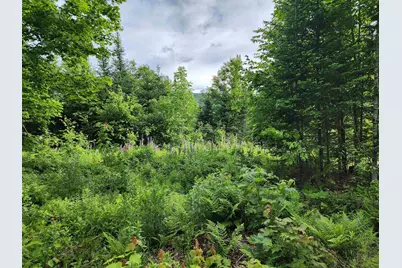 Lot 16 Ginnie Lane #RO2O-0010-0016, Errol, NH 03579 - Photo 9