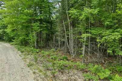 Lot 417-46 Stevens Road #Lot 46 Map417, Effingham, NH 03882 - Photo 21