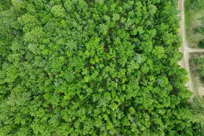 Lot 417-46 Stevens Road #Lot 46 Map417, Effingham, NH 03882 - Photo 13