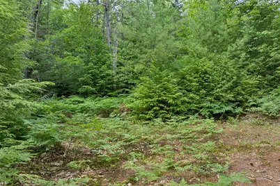 Lot 417-46 Stevens Road #Lot 46 Map417, Effingham, NH 03882 - Photo 25