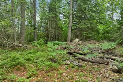 Lot 417-46 Stevens Road #Lot 46 Map417, Effingham, NH 03882 - Photo 19