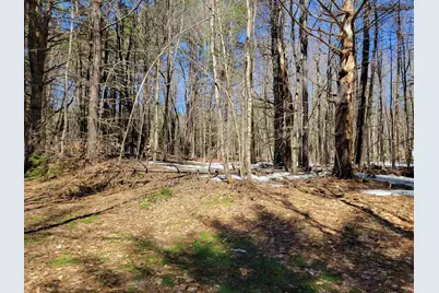 Map 105 Lot 20 Lost River Road, Woodstock, NH 03262 - Photo 7