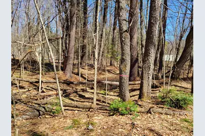 Map 105 Lot 20 Lost River Road, Woodstock, NH 03262 - Photo 5
