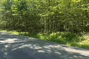 0 Old Province Rd, Newbury, NH 03255 - Photo 3