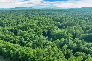 21 Birch Tree Ln, Hillsboro, NH 03244 - Photo 19