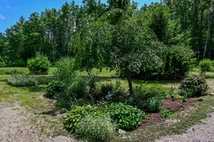 636 Eaton Rd, Freedom, NH 03836 - Photo 9