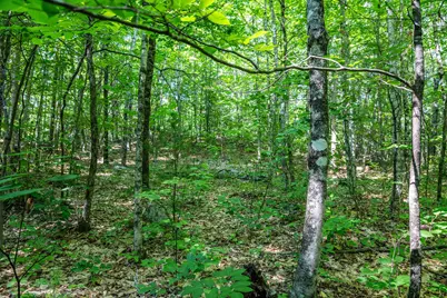 Lot 4.1 Tommy Lot Road, Moultonborough, NH 03254 - Photo 7