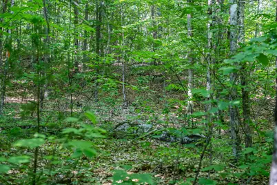 Lot 4.1 Tommy Lot Road, Moultonborough, NH 03254 - Photo 3