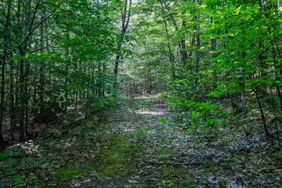 Lot 4.2 Tommy Lot Road, Moultonborough, NH 03254 - Photo 13