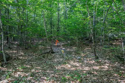 Lot 4.2 Tommy Lot Road, Moultonborough, NH 03254 - Photo 7